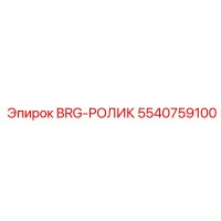 5540759100 BRG-РОЛИК Epiroc