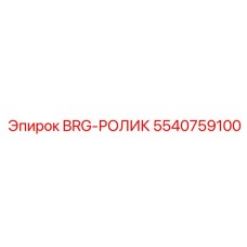 5540759100 BRG-РОЛИК Epiroc