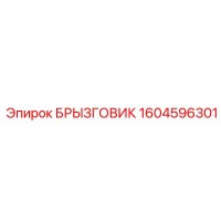 1604596301 БРЫЗГОВИК Epiroc