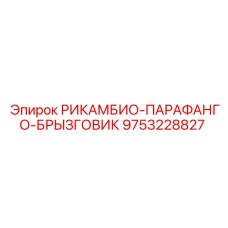 9753228827 РИКАМБИО-ПАРАФАНГО-БРЫЗГОВИК Epiroc