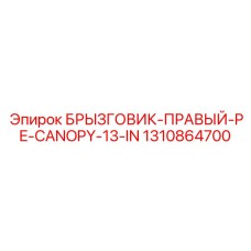 1310864700 БРЫЗГОВИК-ПРАВЫЙ-PE-CANOPY-13-IN Epiroc