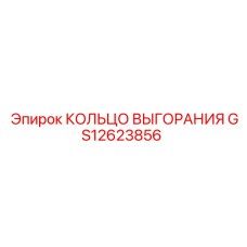 GS12623856 КОЛЬЦО ВЫГОРАНИЯ Epiroc