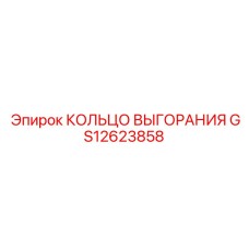 GS12623858 КОЛЬЦО ВЫГОРАНИЯ Epiroc