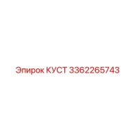 3362265743 КУСТ Эпирок