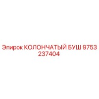 9753237404 КОЛОНЧАТЫЙ БУШ Epiroc