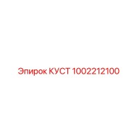 1002212100 КУСТ Epiroc