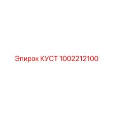 1002212100 КУСТ Epiroc