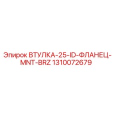 1310072679 ВТУЛКА-25-ID-ФЛАНЕЦ-MNT-BRZ Epiroc