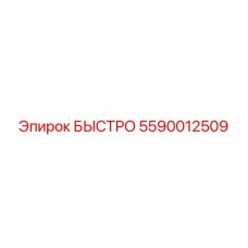 5590012509 БЫСТРО Epiroc