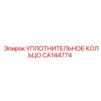 CA144774 УПЛОТНИТЕЛЬНОЕ КОЛЬЦО Эпирок