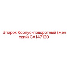 Фото поворотного корпуса (женский) Epiroc CA147120