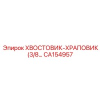 CA154957 ХВОСТОВИК-ХРАПОВИК (3/8) Epiroc