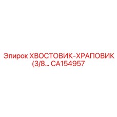 CA154957 ХВОСТОВИК-ХРАПОВИК (3/8) Epiroc