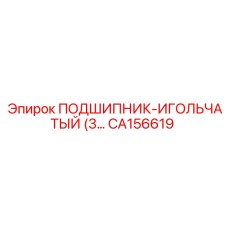 Фото игольчатого подшипника CA156619 для техники Epiroc