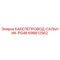 698612562 КАБЕЛЕПРОВОД-САЛЬНИК-PG48 Epiroc