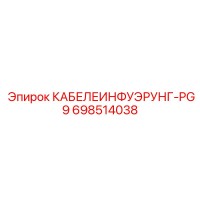 698514038 КАБЕЛЕИНФУЭРУНГ-PG9 - Epiroc