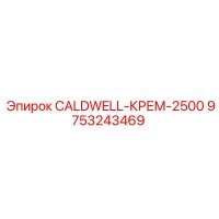 9753243469 Caldwell-Cream-2500 Epiroc