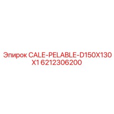 6212306200 Cale-Pelable-D150X130X1 Epiroc