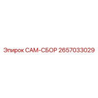 2657033029 CAM-СБОР Epiroc