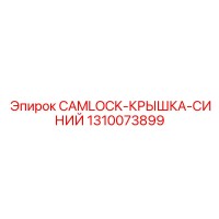 1310073899 CAMLOCK-КРЫШКА-СИНИЙ Epiroc