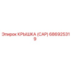 686925319 Крышка (Cap) Epiroc