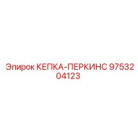 9753204123 КЕПКА-ПЕРКИНС Epiroc