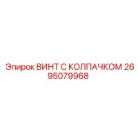2695079968 ВИНТ С КОЛПАЧКОМ Epiroc