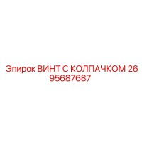 2695687687 ВИНТ С КОЛПАЧКОМ Epiroc