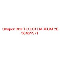 2658455971 ВИНТ С КОЛПАЧКОМ Epiroc