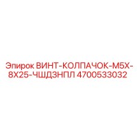 4700533032 ВИНТ-КОЛПАЧОК-M5X-8X25-ЧШДЗНПЛ Epiroc