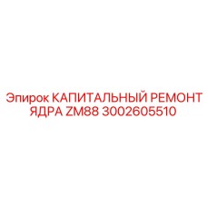 3002605510 КАПИТАЛЬНЫЙ РЕМОНТ ЯДРА ZM88 Epiroc