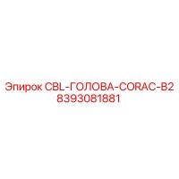 8393081881 CBL-ГОЛОВА-CORAC-B2 Epiroc