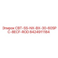 8424911184 CBT-SS-NX-BX-30-60SPC-8ECF-ROD Epiroc