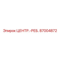 87004872 Central-Rib Epiroc