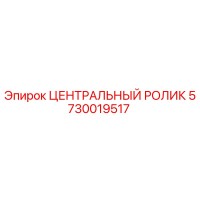 5730019517 ЦЕНТРАЛЬНЫЙ РОЛИК Epiroc