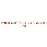 2310111070 ЦЕНТРАЛЬ-СУПП Epiroc
