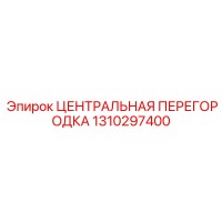1310297400 ЦЕНТРАЛЬНАЯ ПЕРЕГОРОДКА Epiroc