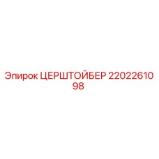 2202261098 ЦЕРШТОЙБЕР Epiroc