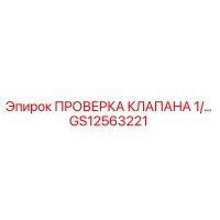 GS12563221 ПРОВЕРКА КЛАПАНА 1/… Epiroc