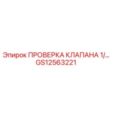 GS12563221 ПРОВЕРКА КЛАПАНА 1/… Epiroc