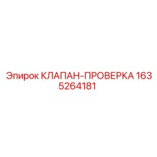 1635264181 КЛАПАН-ПРОВЕРКА Epiroc