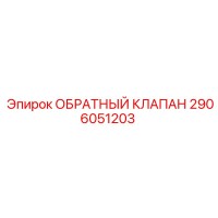 2906051203 ОБРАТНЫЙ КЛАПАН - Epiroc