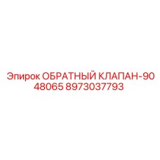 8973037793 ОБРАТНЫЙ КЛАПАН-9048065 Epiroc