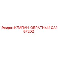 CA157202 КЛАПАН-ОБРАТНЫЙ Epiroc