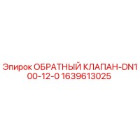 1639613025 ОБРАТНЫЙ КЛАПАН-DN100-12-0 Epiroc