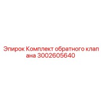 3002605640 Комплект обратного клапана Epiroc