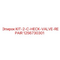 1256730301 KIT-2-CHECK-VALVE-REPAIR Epiroc