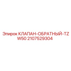 2107529304 КЛАПАН-ОБРАТНЫЙ-TZW50 Epiroc