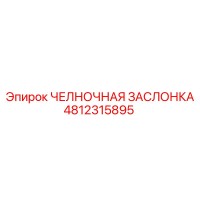 4812315895 ЧЕЛНОЧНАЯ ЗАСЛОНКА Epiroc