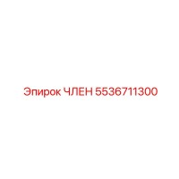 5536711300 ЧЛЕН Epiroc